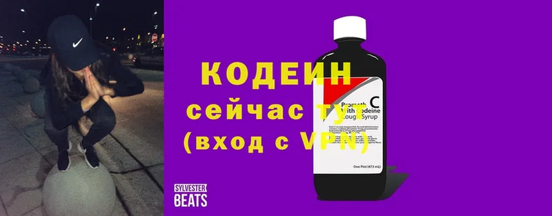 гидра маркетплейс  дарнет шоп  Жиздра  Кодеиновый сироп Lean Purple Drank 